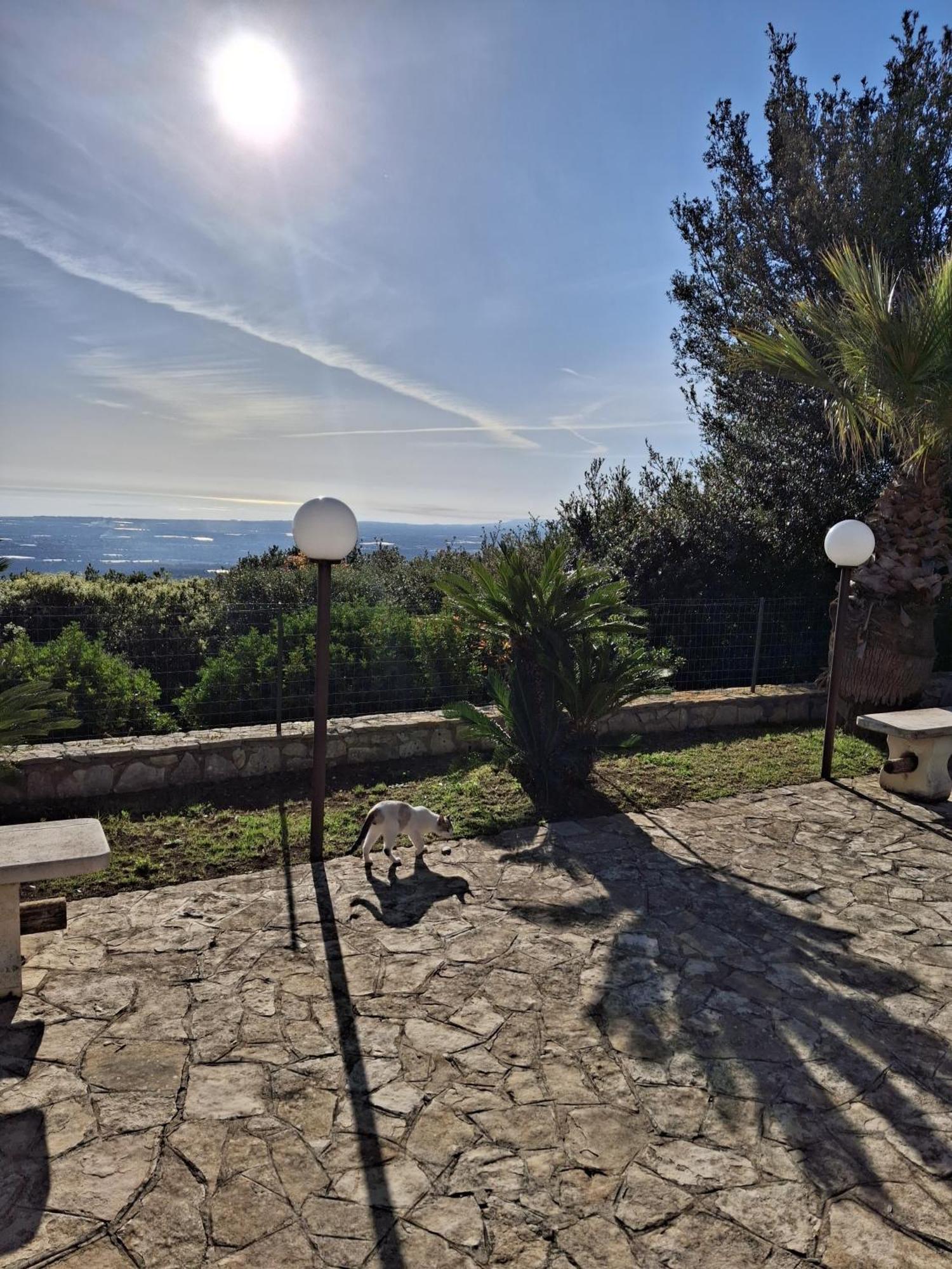 Villa Maremonti Monopoli Ngoại thất bức ảnh